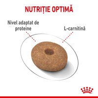 Royal Canin Mini Light Weight Care Adult, hrană uscată câini, managementul greutății, 1kg - 4