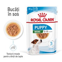 ROYAL CANIN Mini Puppy, hrană umedă câini junior, (în sos), 85g - 1