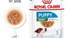 ROYAL CANIN Mini Puppy, hrană umedă câini junior, (în sos), 85g