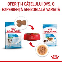 ROYAL CANIN Mini Puppy, hrană umedă câini junior, (în sos), 85g - 9