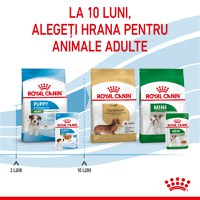 ROYAL CANIN Mini Puppy, hrană umedă câini junior, (în sos), 85g - 10