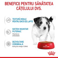 ROYAL CANIN Mini Puppy, hrană umedă câini junior, (în sos), 85g - 4