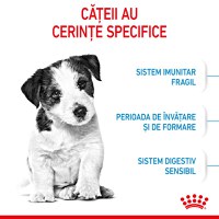 ROYAL CANIN Mini Puppy, hrană uscată câini junior, 800g - 4