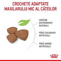 ROYAL CANIN Mini Puppy, hrană uscată câini junior, 800g - 6