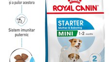 ROYAL CANIN Mini Starter Mother & Babydog, mama și puiul, hrană uscată câini, 8kg