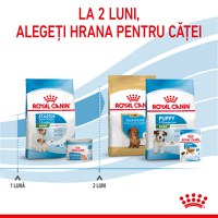 ROYAL CANIN Mini Starter Mother & Babydog, mama și puiul, hrană uscată câini, 8kg - 10