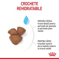 ROYAL CANIN Mini Starter Mother & Babydog, mama și puiul, hrană uscată câini, 8kg - 6