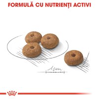 ROYAL CANIN Mini Sterilised Adult, hrană uscată câini sterilizați, 1kg - 6