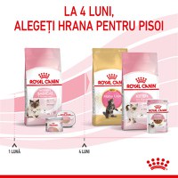 ROYAL CANIN Mother & BabyCat, hrană uscată pisici, mama și puiul, 10kg - 10