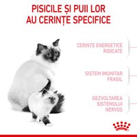 ROYAL CANIN Mother & BabyCat, hrană uscată pisici, mama și puiul, 10kg - 4