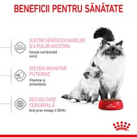 ROYAL CANIN Mother & BabyCat, hrană uscată pisici, mama și puiul, 10kg - 5