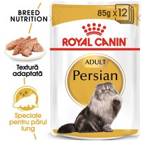 ROYAL CANIN Persian Adult, hrană umedă pisici, (pate), bax, 85g x 12buc - 1