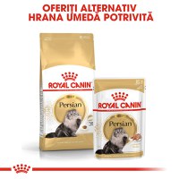 ROYAL CANIN Persian Adult, hrană umedă pisici, (pate), bax, 85g x 12buc - 9