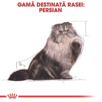 ROYAL CANIN Persian Adult, hrană umedă pisici, (pate), bax, 85g x 12buc - 4