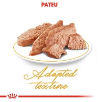 ROYAL CANIN Persian Adult, hrană umedă pisici, (pate), bax, 85g x 12buc - 6