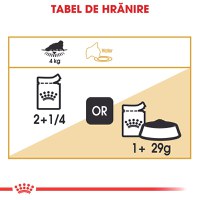 ROYAL CANIN Persian Adult, hrană umedă pisici, (pate), bax, 85g x 12buc - 8