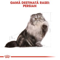 Royal Canin Persian Adult, hrană uscată pisici, 2kg - 7