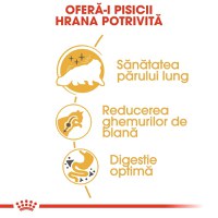 Royal Canin Persian Adult, hrană uscată pisici, 2kg - 9