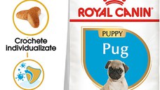 ROYAL CANIN Pug Puppy, hrană uscată câini junior, 1.5kg