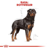 ROYAL CANIN Rottweiller Adult, hrană uscată câini, 12kg - 4