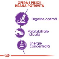 Royal Canin Sensible Adult, hrană uscată pisici, digestie optimă, 10kg - 8