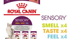 ROYAL CANIN Sensory hrană umedă pisici stimularea simțurilor (în sos), bax, 85g x 12buc