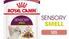 ROYAL CANIN Sensory Smell hrană umedă pisici stimularea mirosului (în sos), 85g