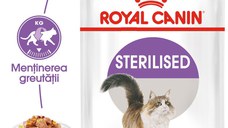 ROYAL CANIN Sterilised Adult hrană umedă pisici sterilizate (în aspic), 85g