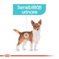 ROYAL CANIN Urinary Care Adult, hrană umedă câini, sănătatea tractului urinar, (pate), 85g - 4