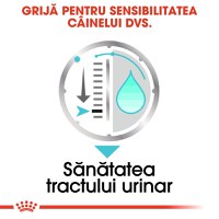 ROYAL CANIN Urinary Care Adult, hrană umedă câini, sănătatea tractului urinar, (pate), 85g - 5