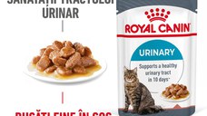 ROYAL CANIN Urinary Care Adult, hrană umedă pisici, sănătatea tractului urinar, (în sos), 85g