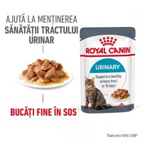 ROYAL CANIN Urinary Care Adult, hrană umedă pisici, sănătatea tractului urinar, (în sos), 85g - 1