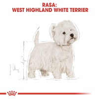 ROYAL CANIN West Highland Terrier Adult, hrană uscată câini, 1.5kg - 4