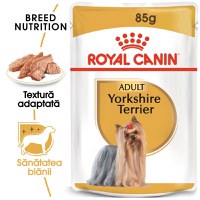 Royal Canin Yorkshire Terrier Adult, hrană umedă câini, (pate) Royal Canin Yorkshire Terrier Adult, plic hrană umedă câini, (pate), 85g - 1