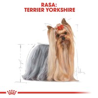 Royal Canin Yorkshire Terrier Adult, hrană umedă câini, (pate) Royal Canin Yorkshire Terrier Adult, plic hrană umedă câini, (pate), 85g - 7