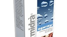 Spray Calmant Piele Sensibila Ermidra, 300 ml