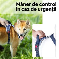 THINKPET Ham Anti-Tracțiune, Căptusit, Albastru Închis, S (33-63cm) - 6