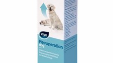 Viyo Recuperation Dog x 1 fl