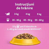 WHISKAS Adult Sterile, Pui, hrană uscată pisici sterilizate, 14kg - 14