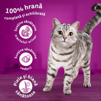 WHISKAS Adult Sterile, Pui, hrană uscată pisici sterilizate, 14kg - 9