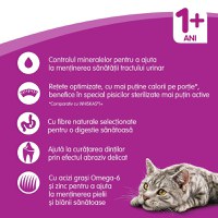 WHISKAS Adult Sterile, Pui, hrană uscată pisici sterilizate, 14kg - 8