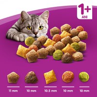 WHISKAS Adult Sterile, Pui, hrană uscată pisici sterilizate, 14kg - 17