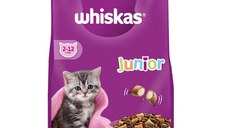 WHISKAS Junior, Pui, hrană uscată pisici junior, 14kg