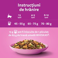 WHISKAS Junior, Pui, hrană uscată pisici junior, 14kg - 7