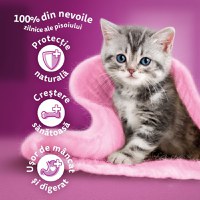 WHISKAS Junior, Pui, hrană uscată pisici junior, 14kg - 16