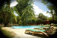 Amboseli Serena Safari Lodge 4* by Perfect Tour - 15