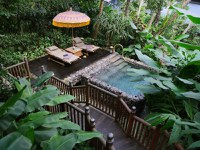 Capella Ubud Resort 6* by Perfect Tour - 2