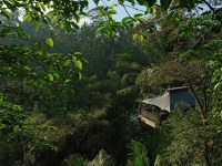 Capella Ubud Resort 6* by Perfect Tour - 3