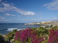 HOVIMA Jardin Caleta Hotel 3* by Perfect Tour - 9