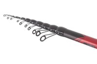 Lanseta Carp Expert Telematch 4.20m, 5-20g - 2